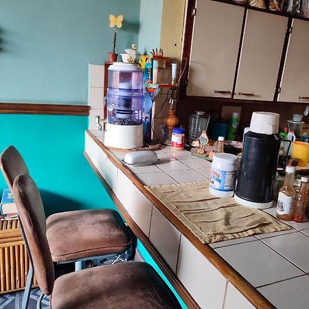 The Cozy Cactus House B&B Cartago Centro English Spoken Εξωτερικό φωτογραφία