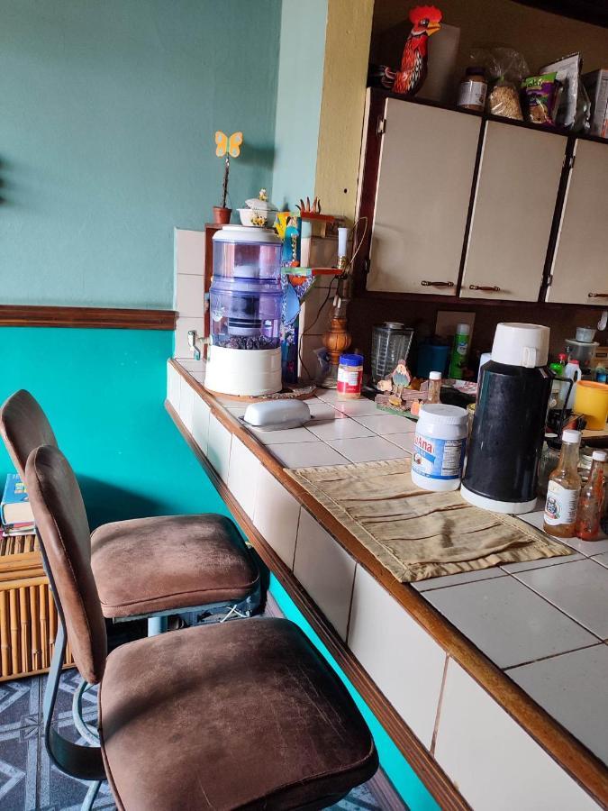 The Cozy Cactus House B&B Cartago Centro English Spoken Εξωτερικό φωτογραφία